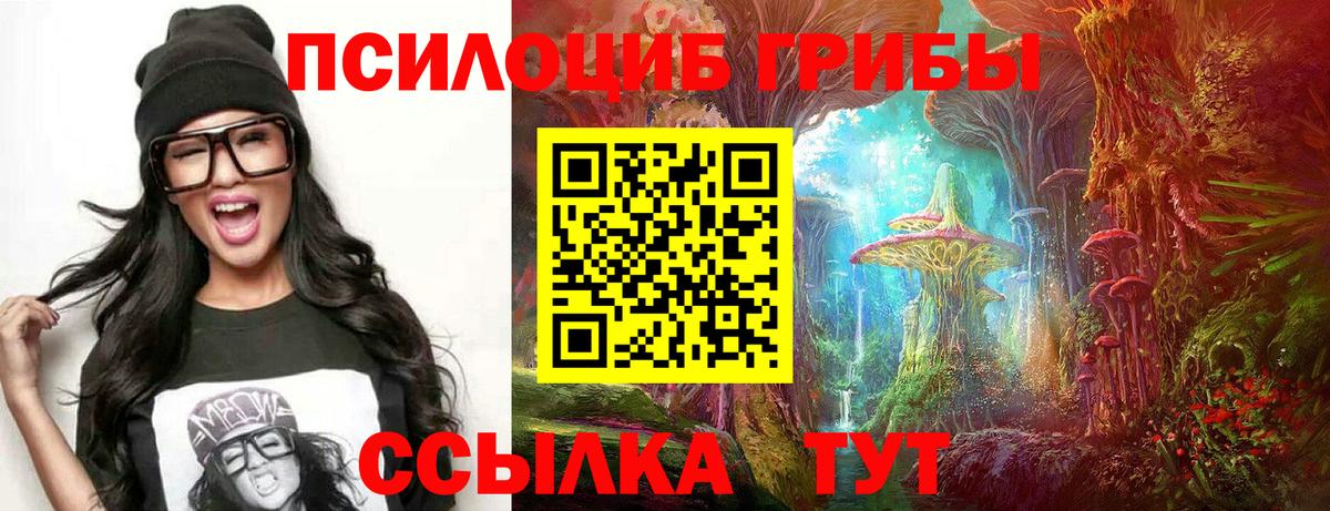 Галлюциногенные грибы Psilocybe  Вход с VPN  Щёлково 